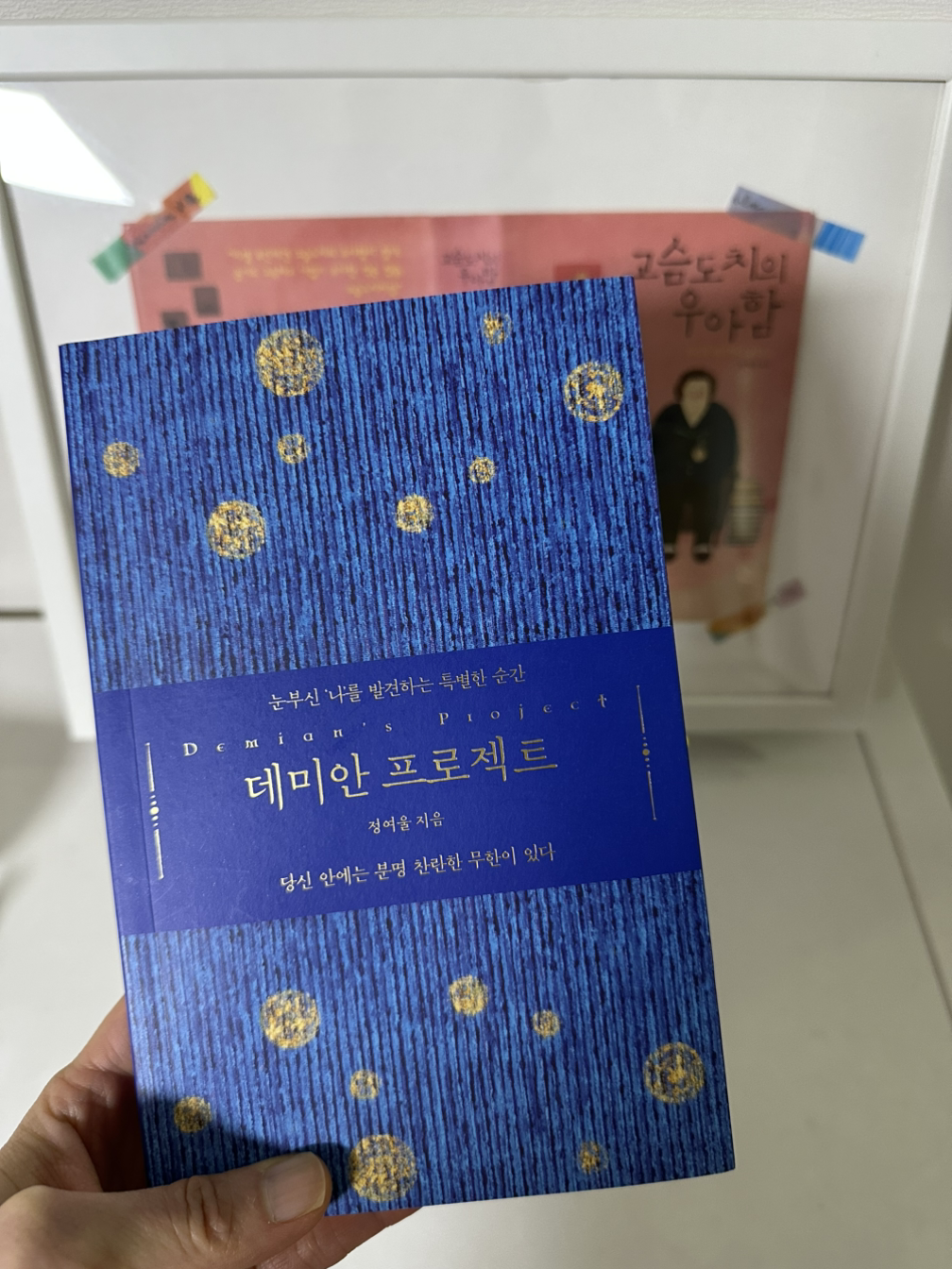 카지노 게임 사이트