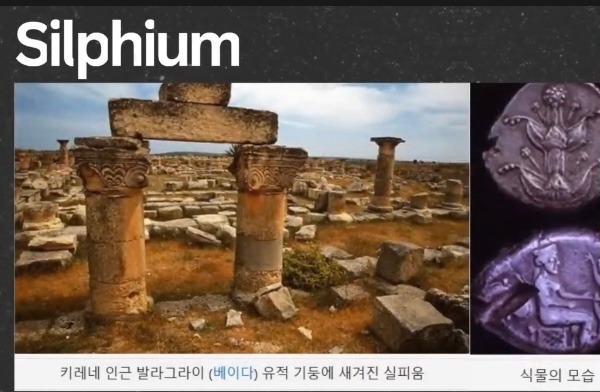 카지노 게임