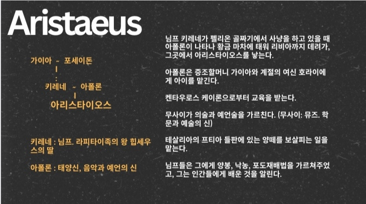 카지노 게임
