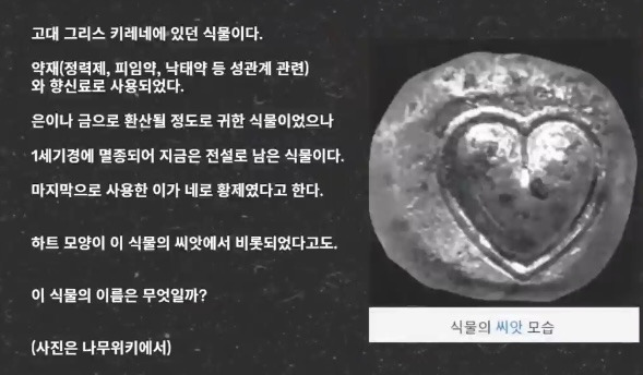 카지노 게임