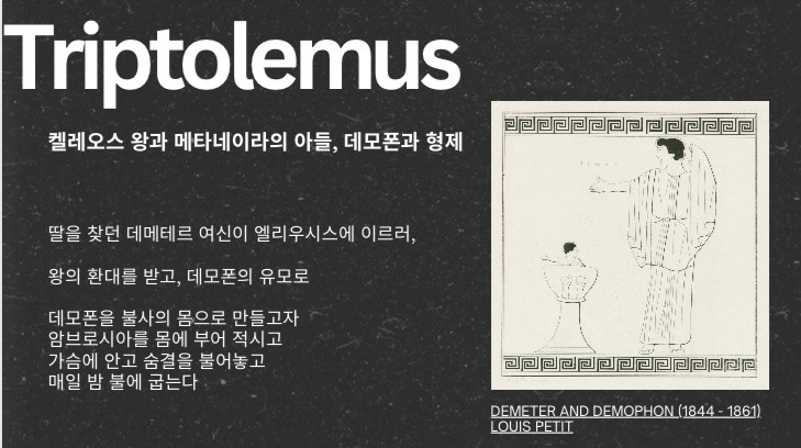 무료 카지노 게임