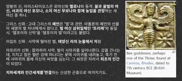 카지노 게임 추천