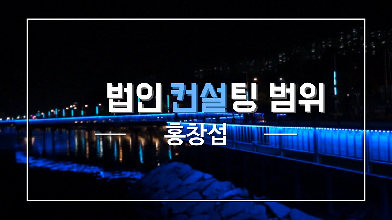 섭이의 법인 컨설팅 일기 (업무범위)