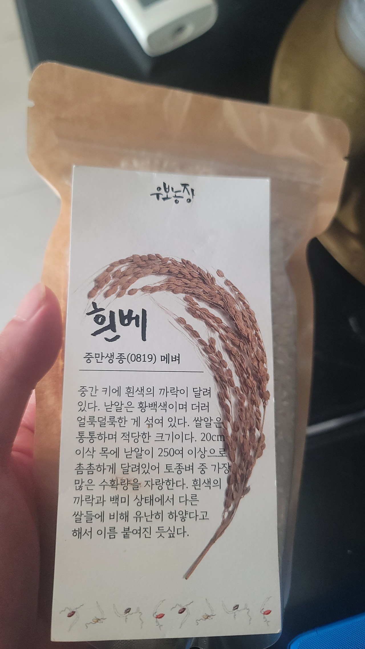 카지노 게임 사이트