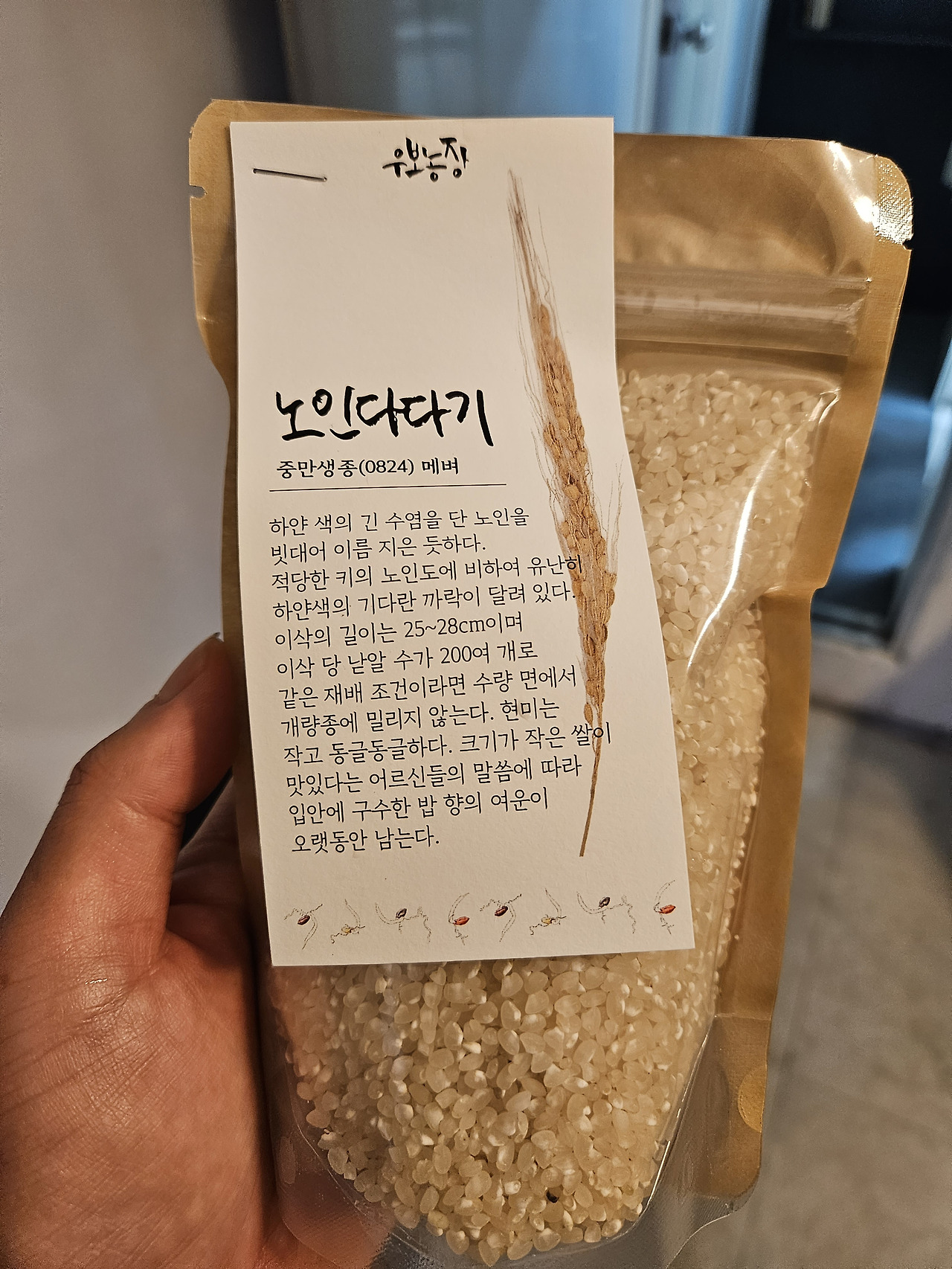 무료 카지노 게임