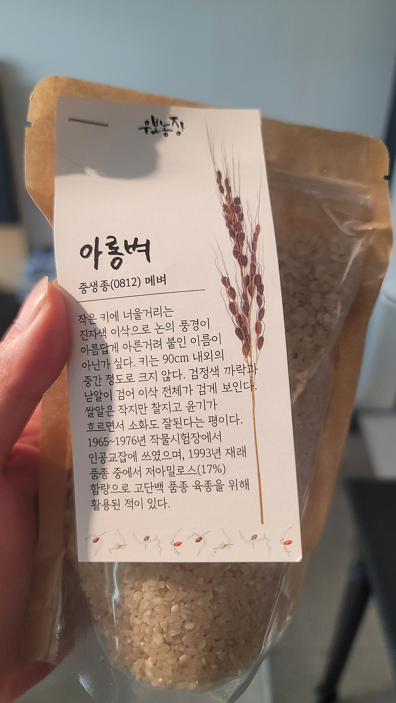 카지노 게임 추천
