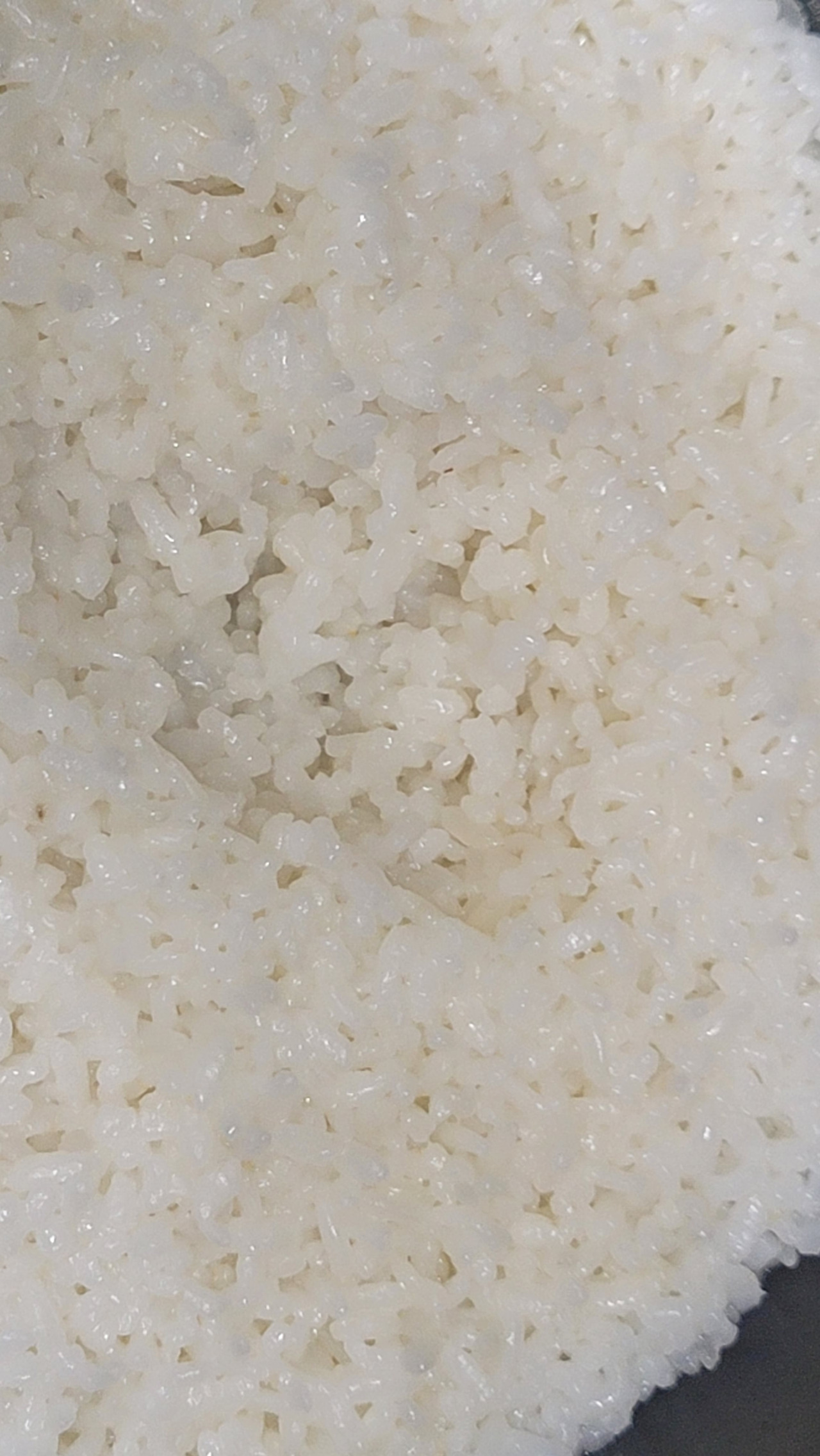 카지노 게임 사이트