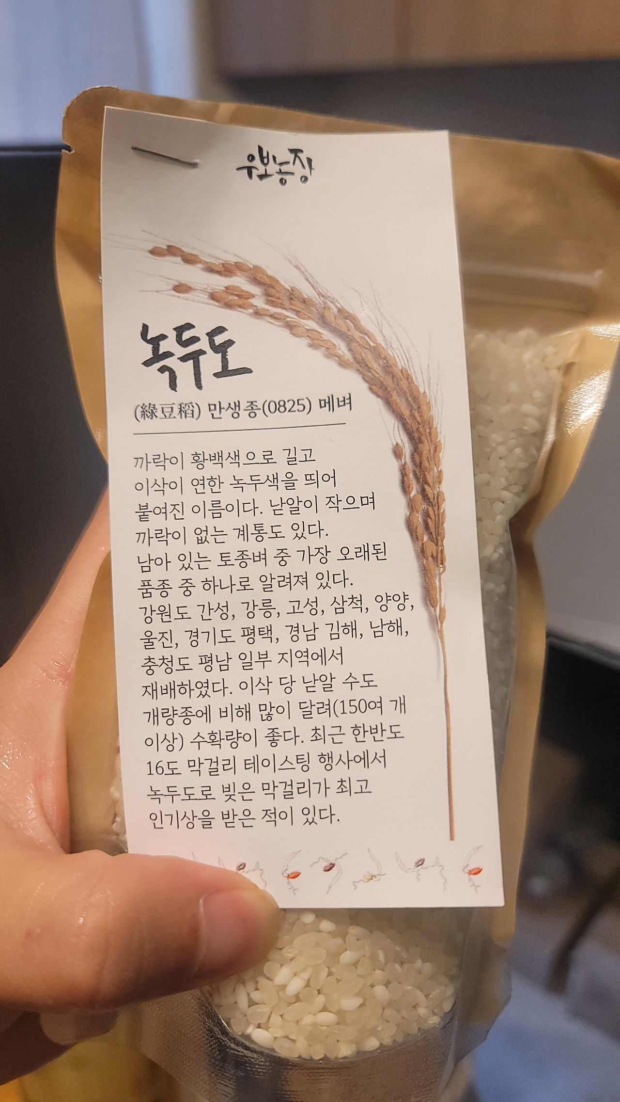 카지노 게임 추천