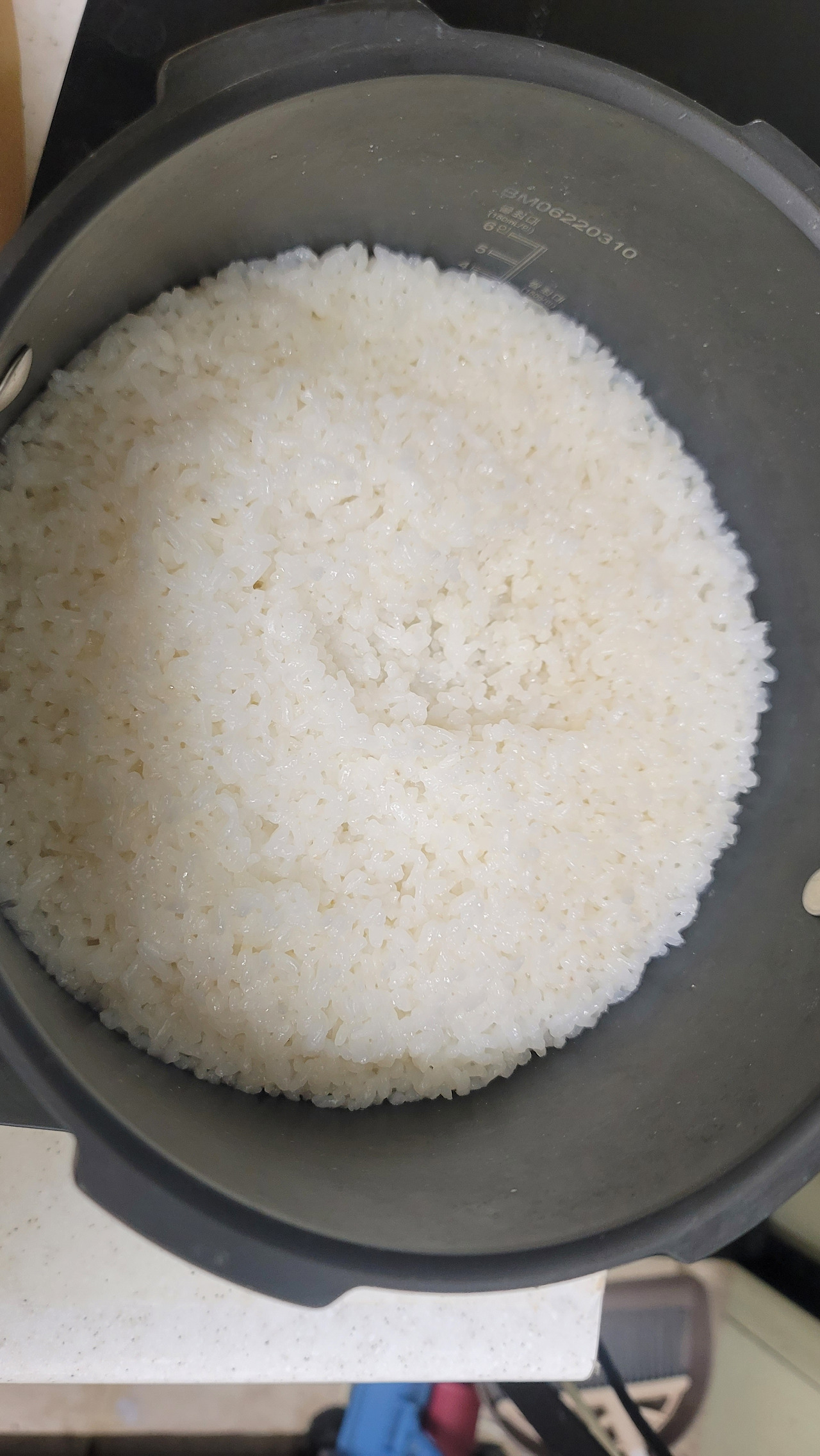 카지노 게임 사이트