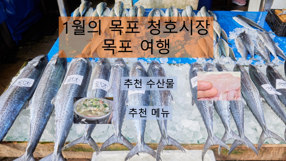 1월의 목포 청호시장과 목포 추천 맛집