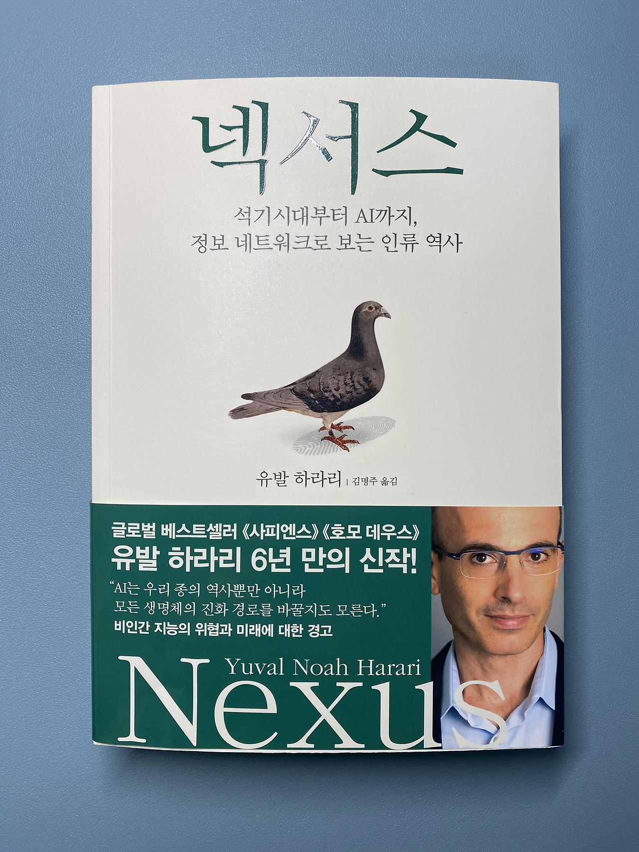 카지노 룰렛 사이트