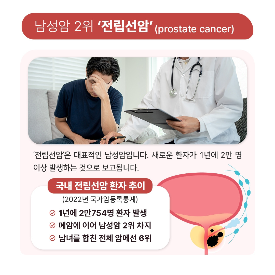 카지노 게임 사이트