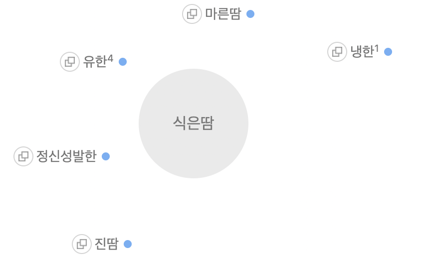 카지노 게임