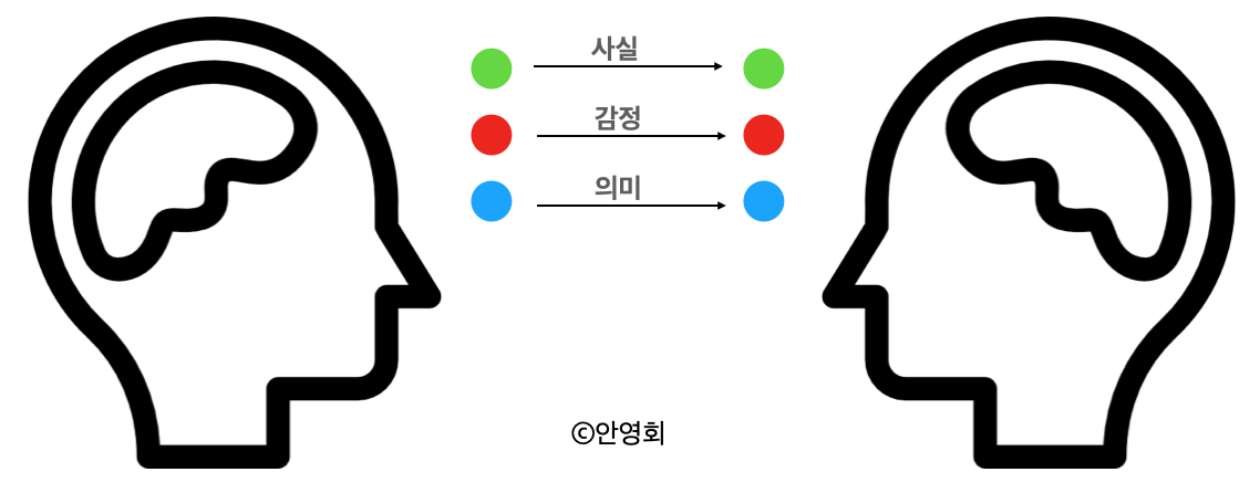 카지노 사이트