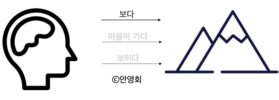 바카라보라