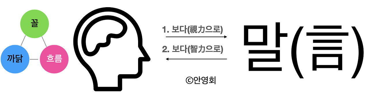 카지노 쿠폰