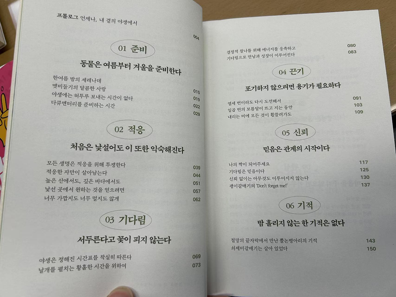 카지노 게임 사이트