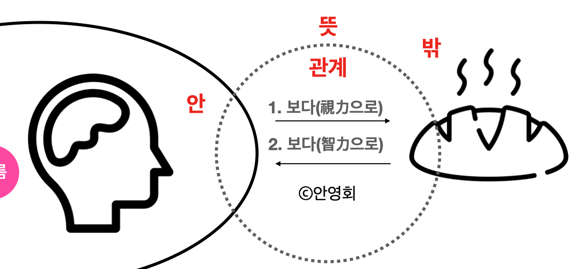 메이저 바카라