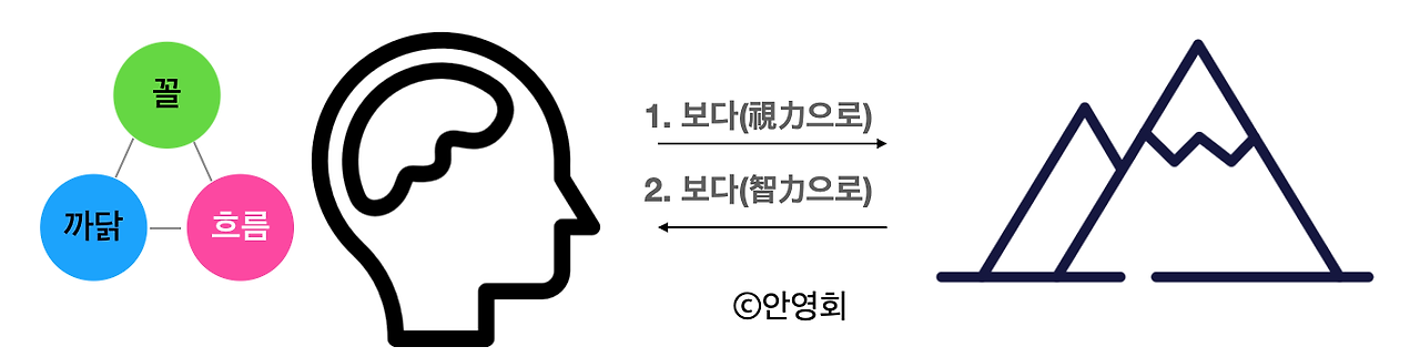 코인 카지노 사이트