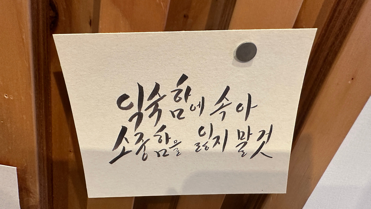 카지노 쿠폰