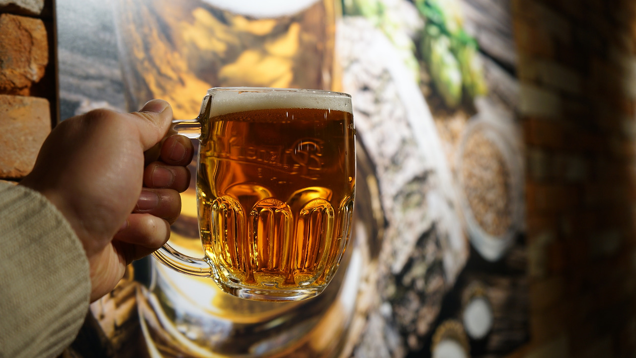 맥주 한잔을 들고 있는 당신, 자유롭다.