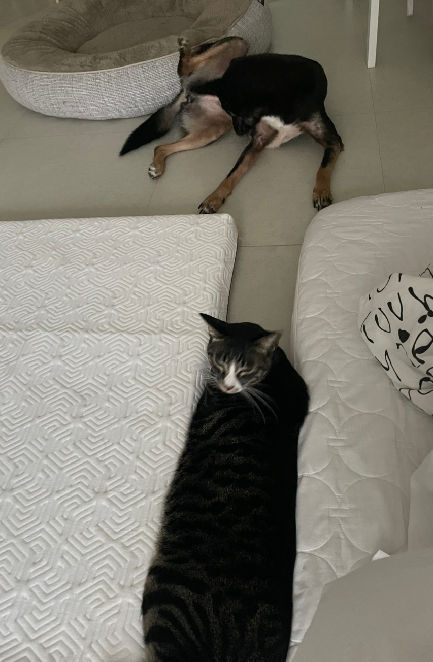 카지노 쿠폰