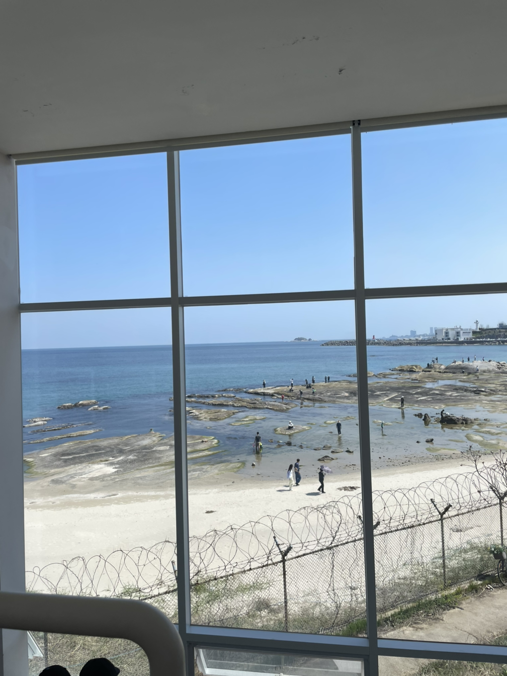 카지노 게임