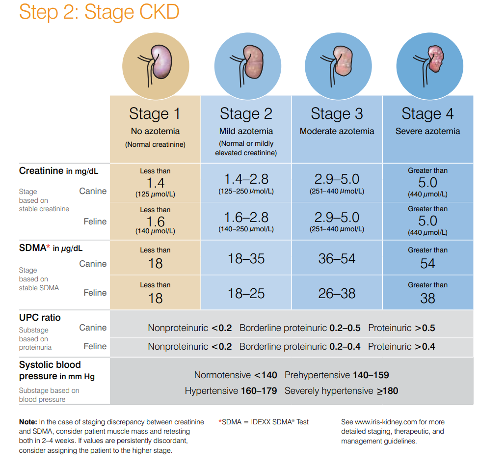 a-hypothetical-presentation-of-stage-2-ckd-as-a-tipping-point-in