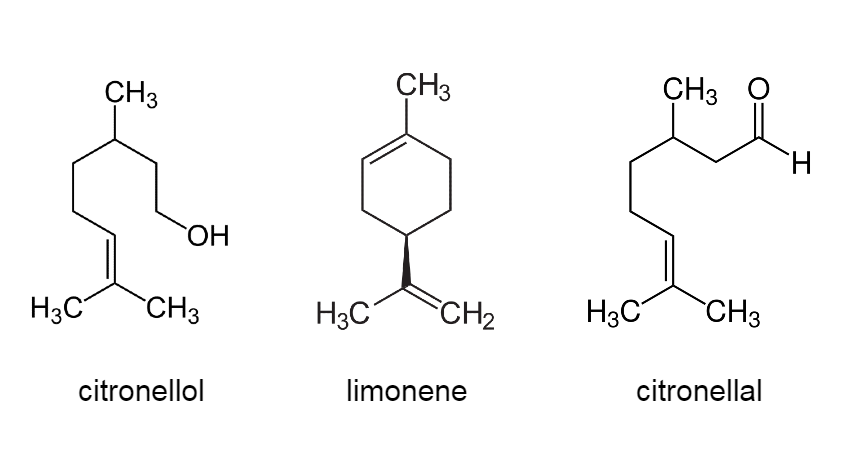 CITRONELLA의 재발견