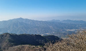 카지노 게임 사이트