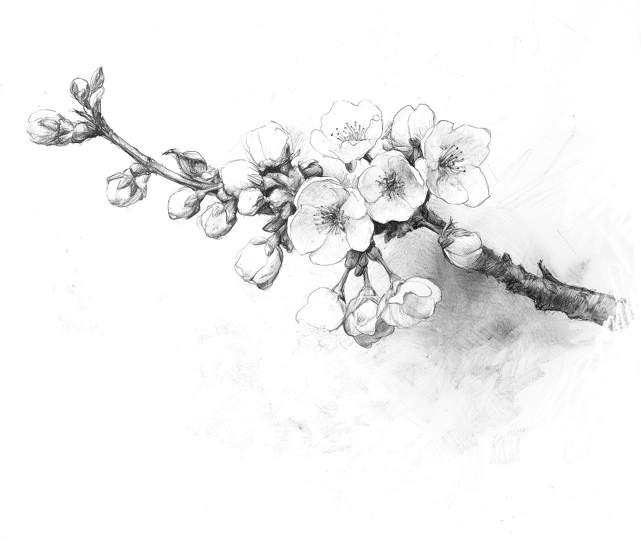 회복