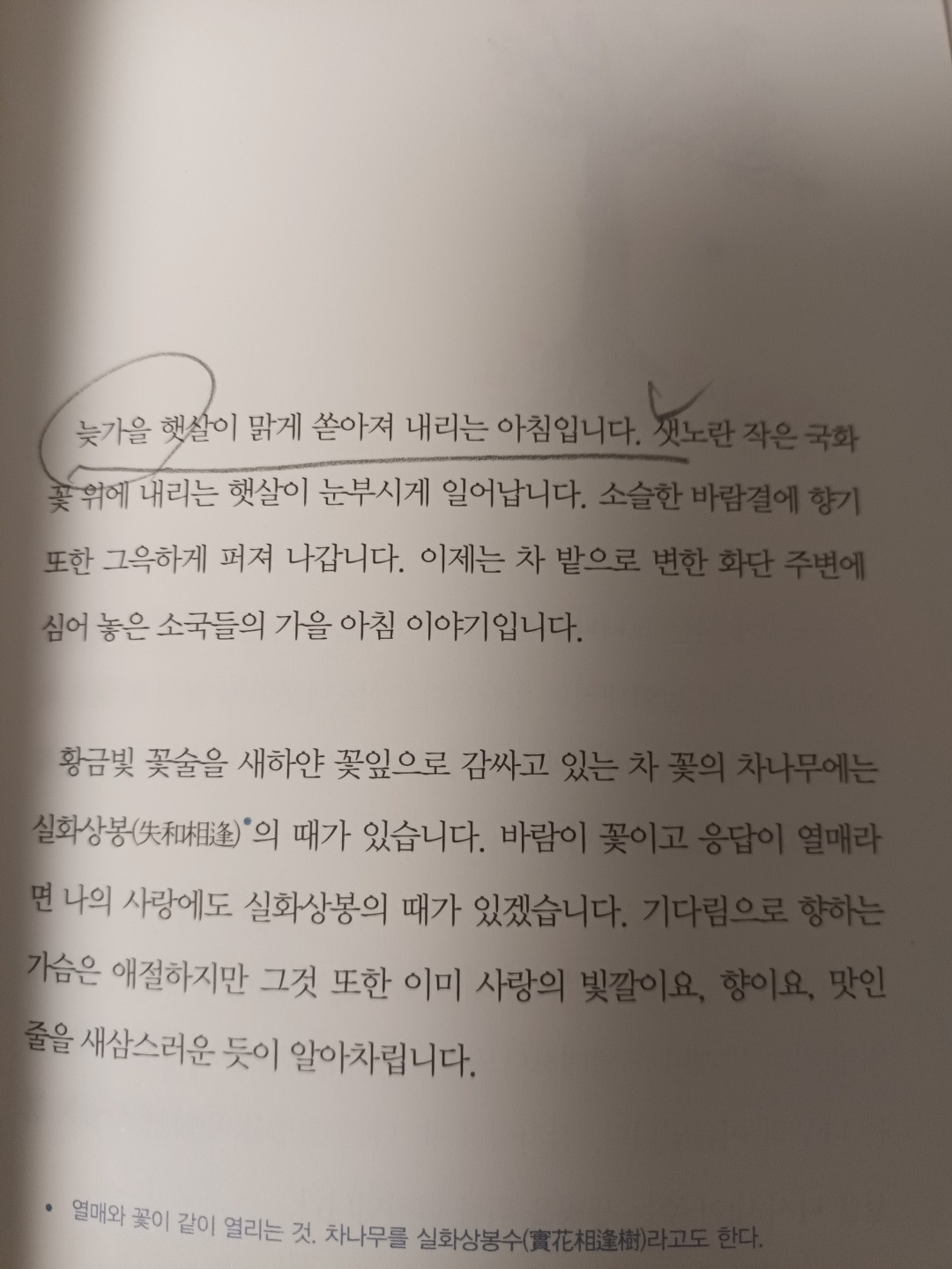 어느 한 신부님의 조용한 묵상집