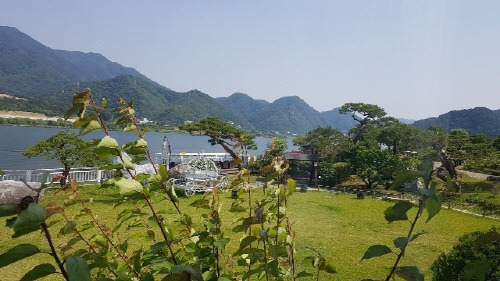 카지노 게임 사이트