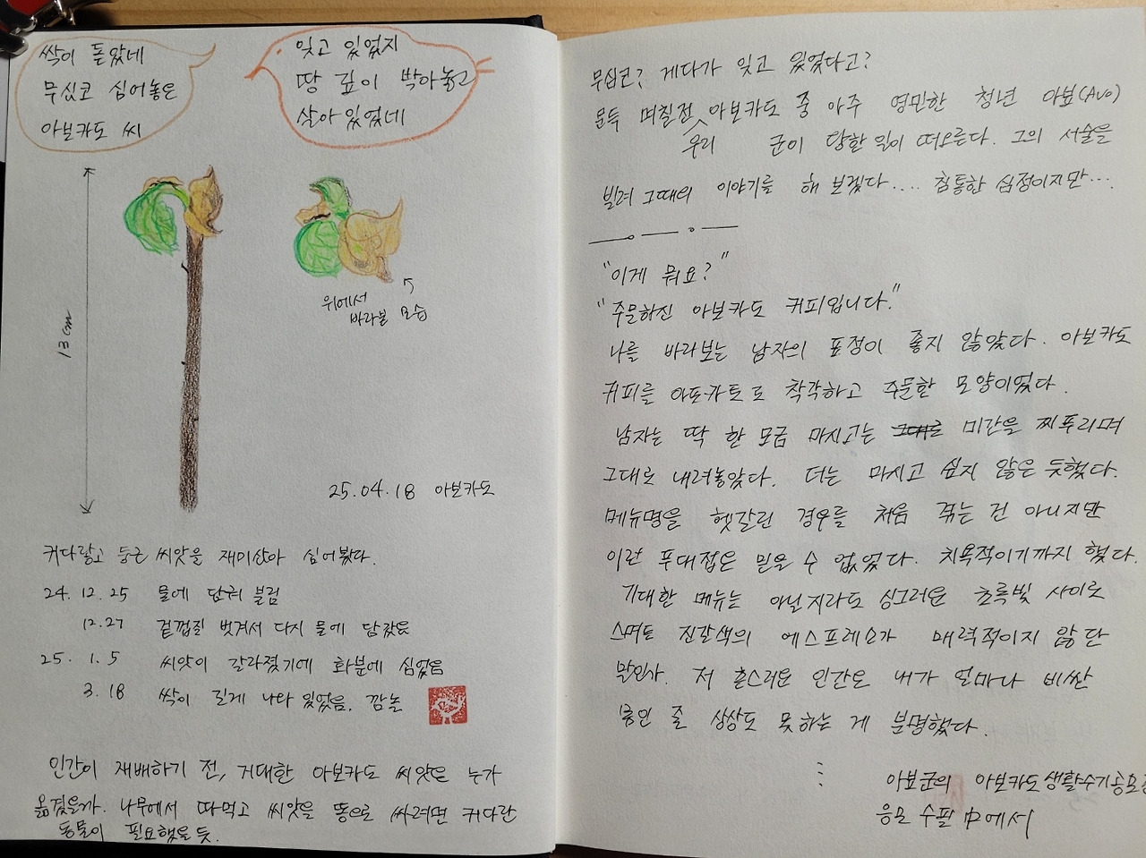 슬롯 사이트