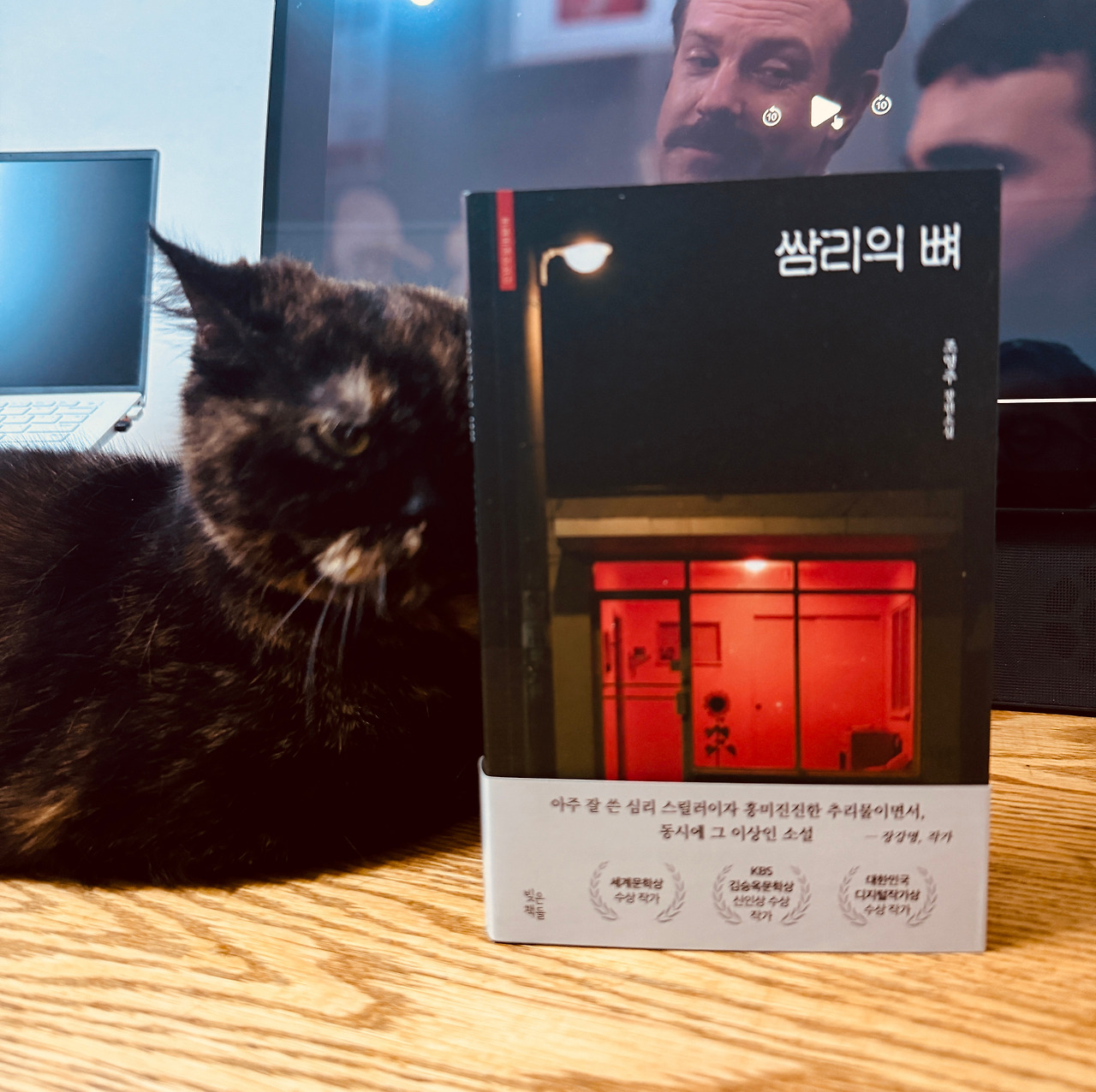 카지노 게임 추천
