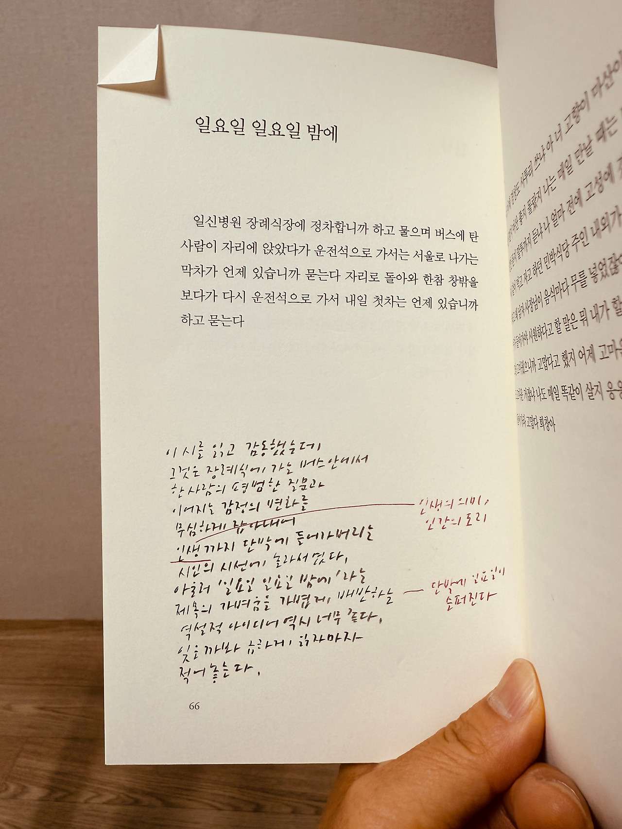 카지노 게임