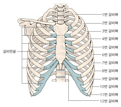 갈비세상 이미지