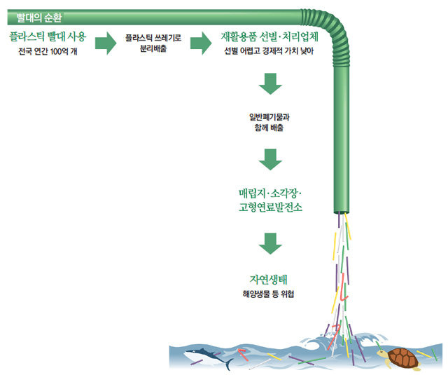 카지노 게임 사이트