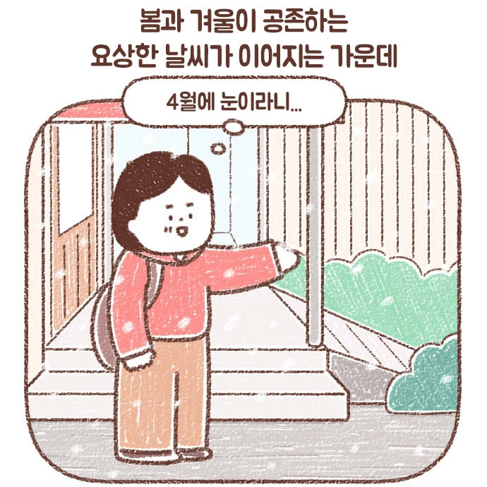 프리미어토토