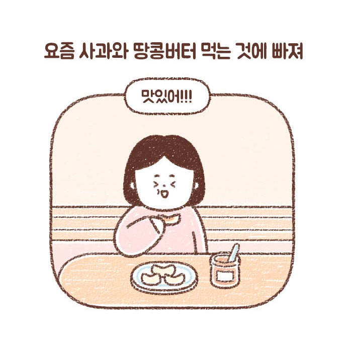 팔로우 토토