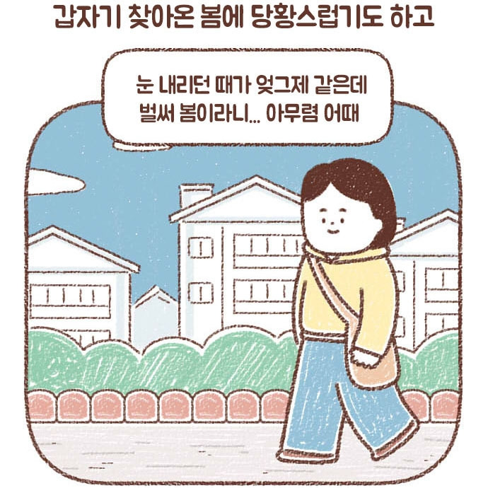 벨라벳