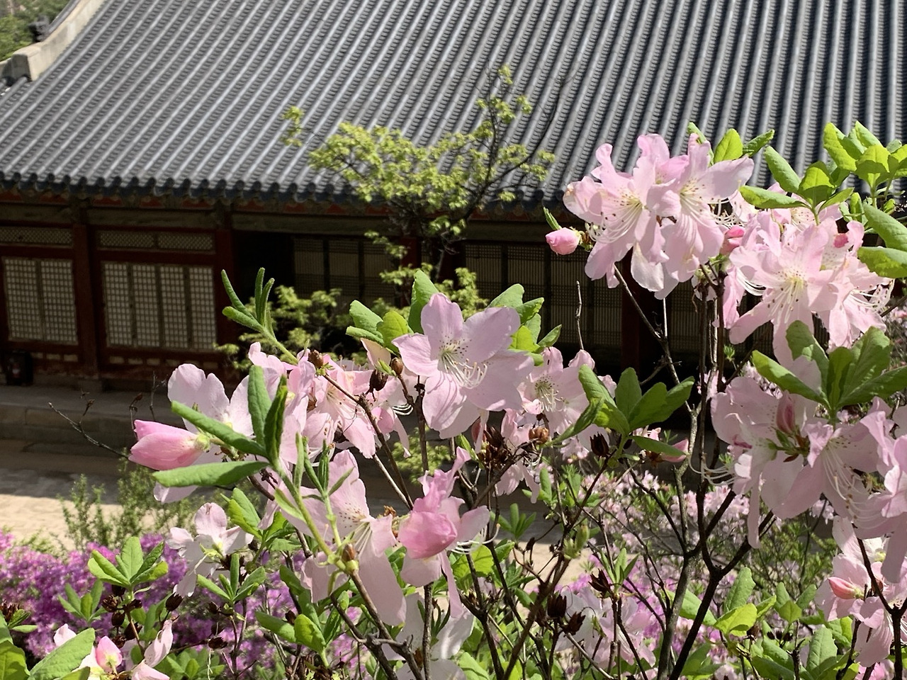 좋수