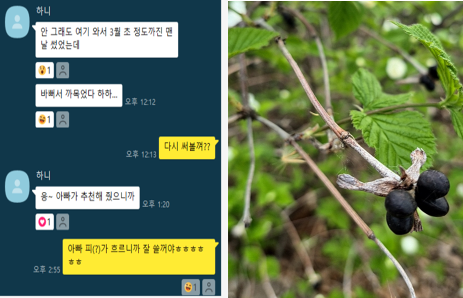 온라인 카지노 게임