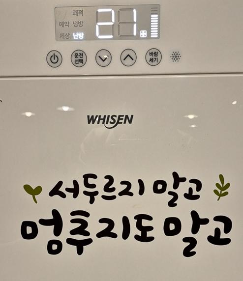 카지노 쿠폰