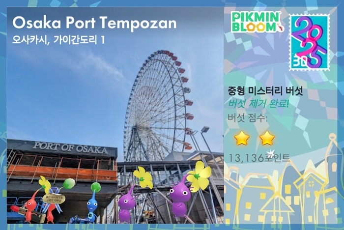 카지노 쿠폰