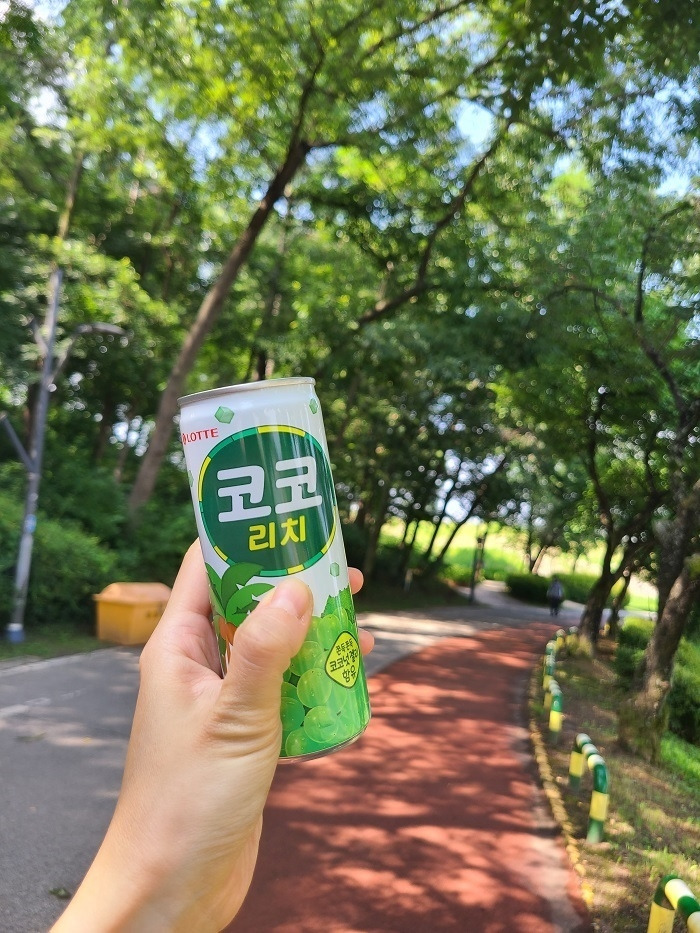 무료 카지노 게임