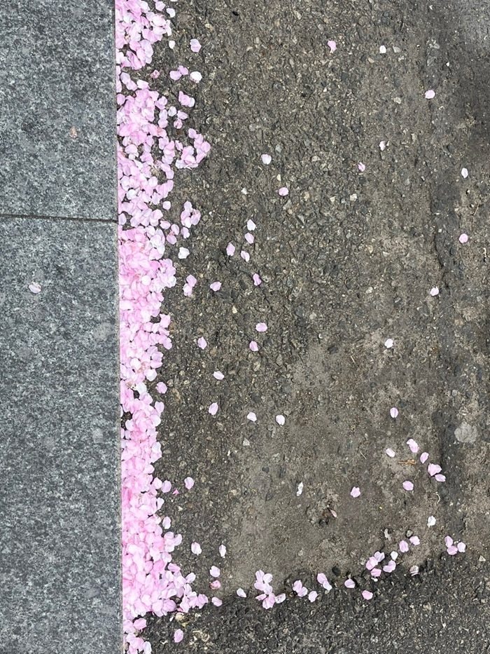 카지노 쿠폰