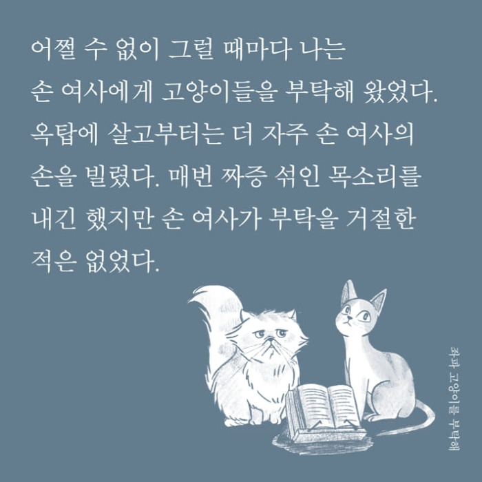 카지노 게임 추천
