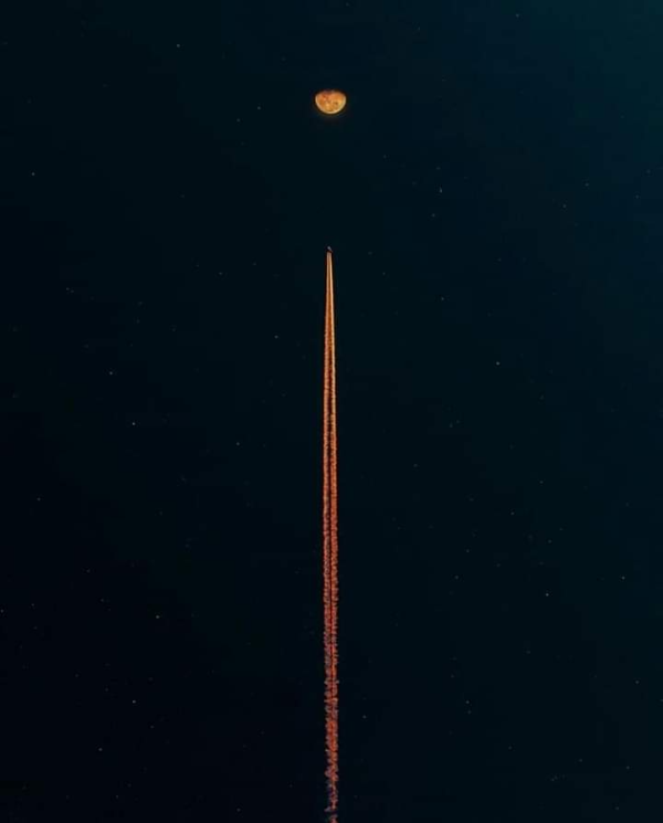 카지노 게임