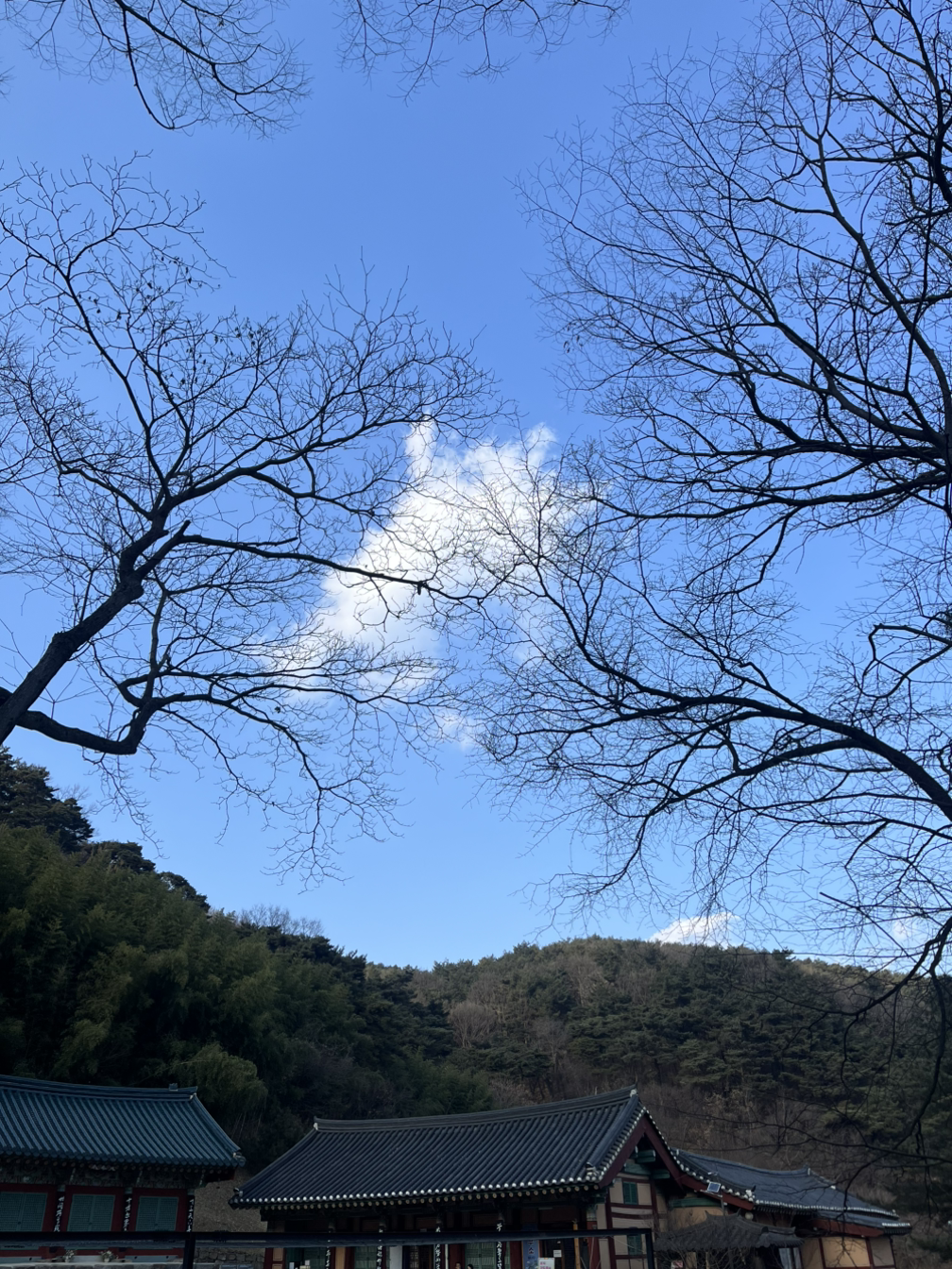 카지노 쿠폰